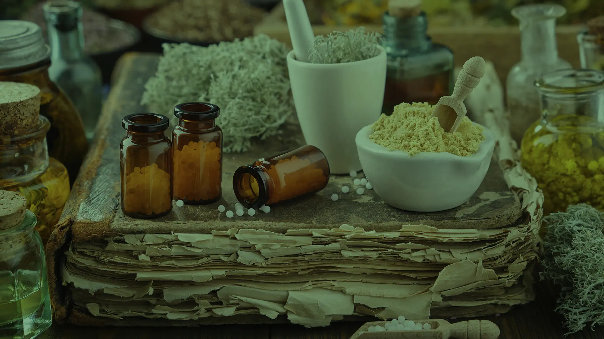 Study Ayurvedic Practitioner