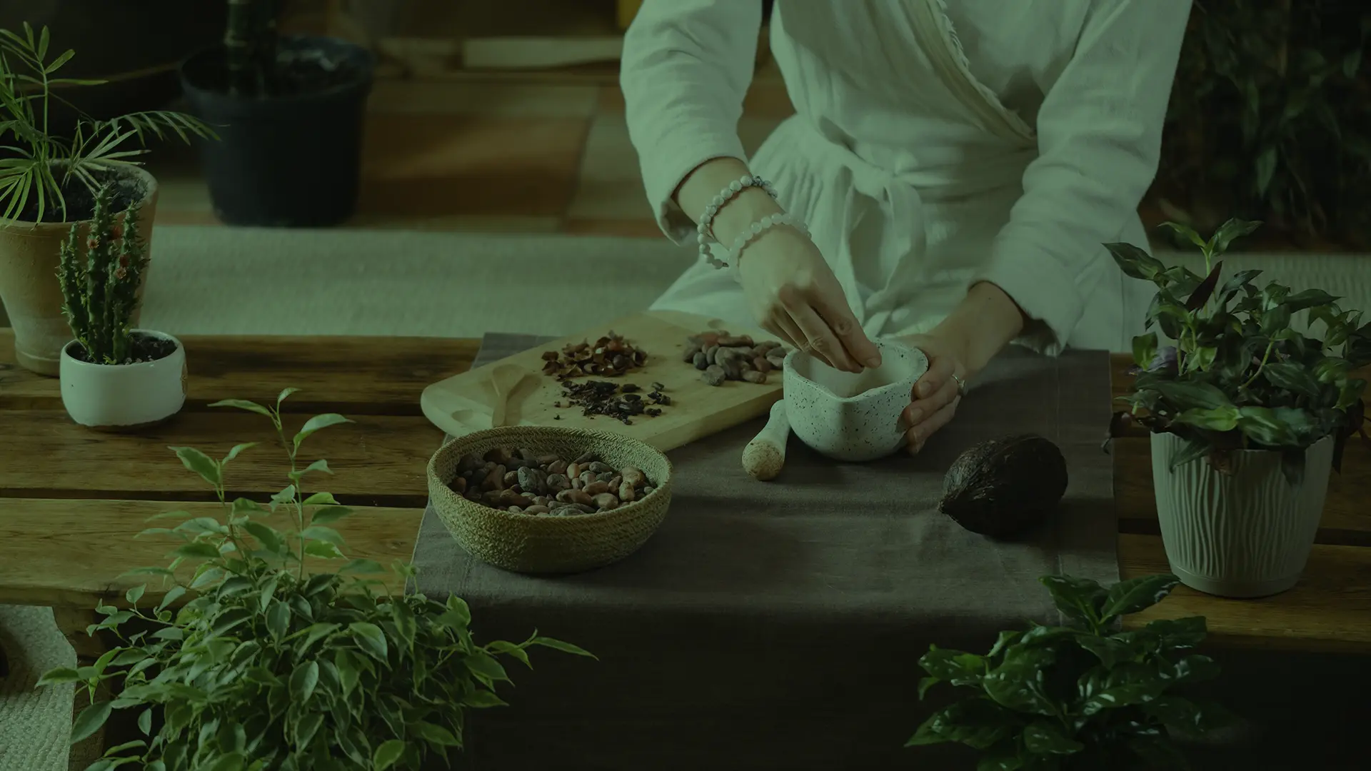 Study Ayurvedic Practitioner