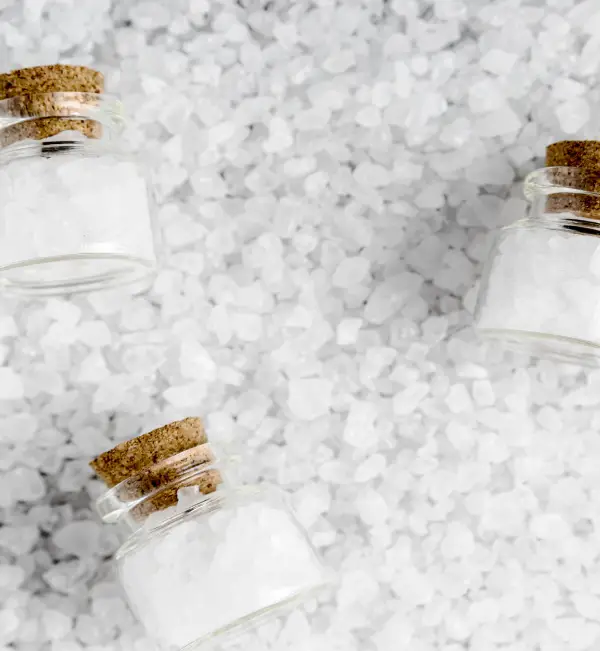 The Schuessler Cell Salt Remedies Workshopt at SAI