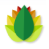 Sai Ayurvedic Institute