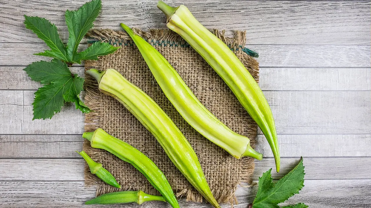 Session 2 - Ingredients